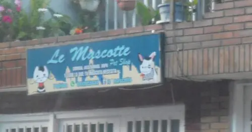LE MASCOTTE PET SHOP BOGOTÁ LE MASCOTTE PET SHOP BOGOTÁ